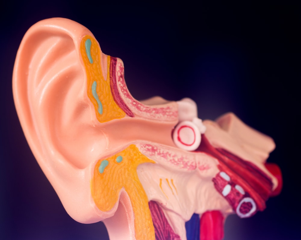 Kulak Hastalıkları - Op. Dr. Yaşar Kemal Duymaz